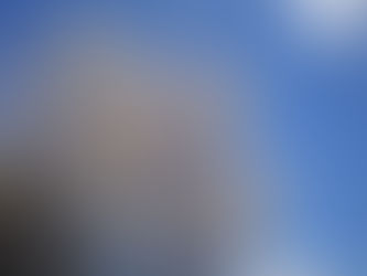 ジュンベリーが咲いた!