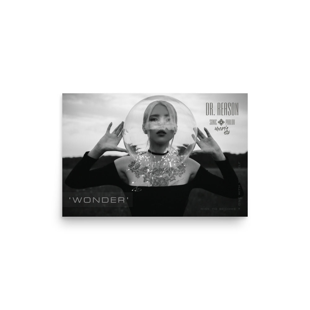 Dr. Reason (Wall Poster) 12" x 18"