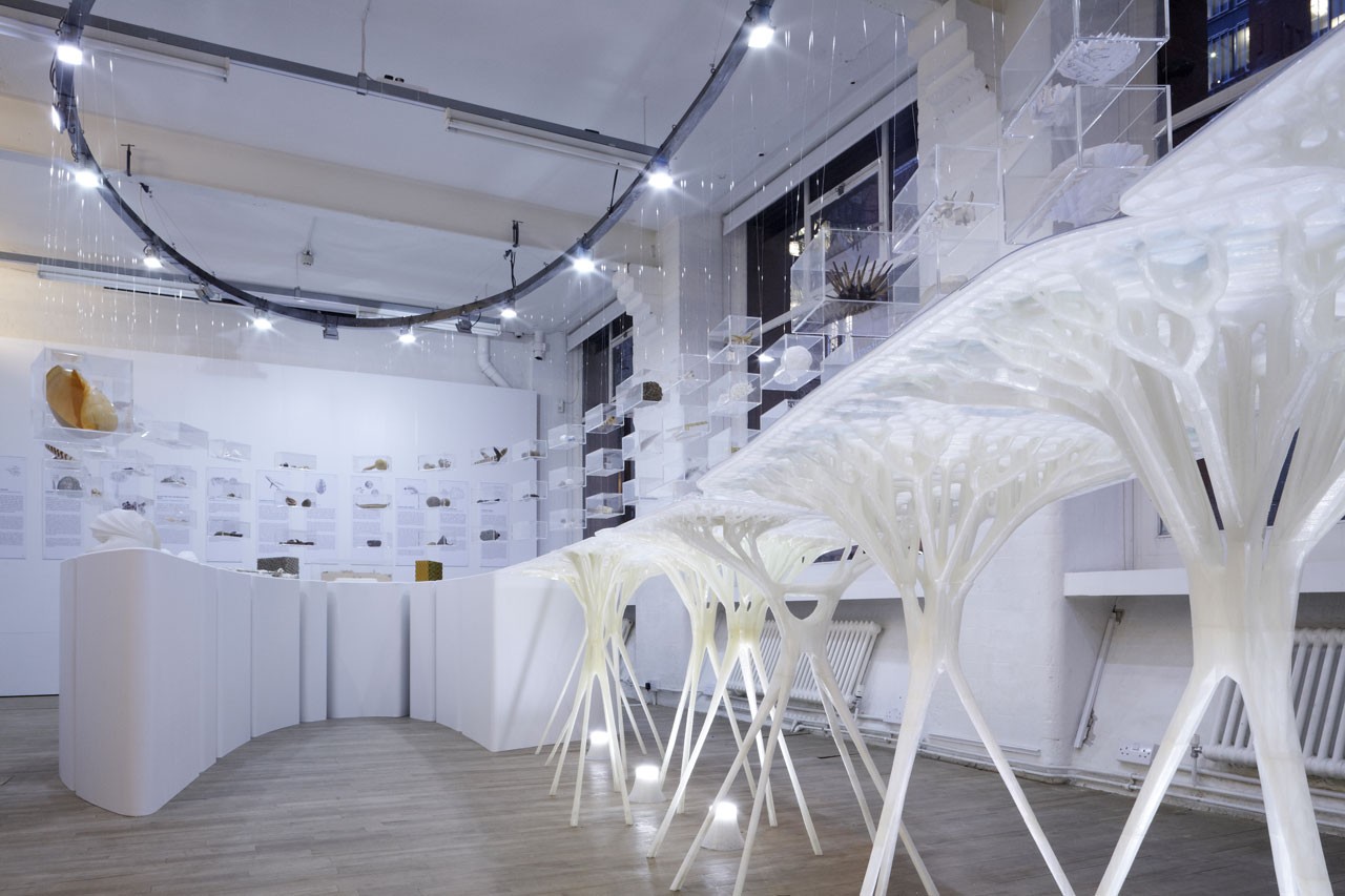 DESIGNING WITH NATURE