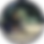 Rectangle 39