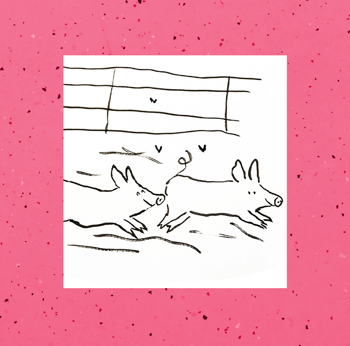 AntonFrieda.gif