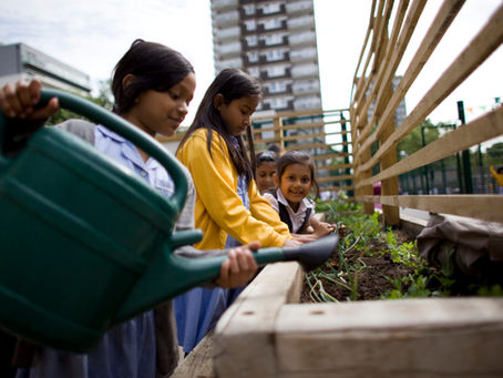 How Can Food Growing Benefit Outdoor Teaching?