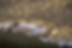 Screenshot 2025-02-26 at 14.25.41.png