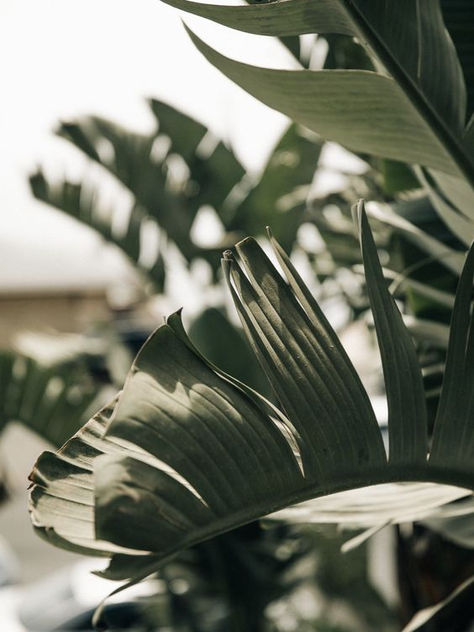 WHY 'JUST A LOGO' ISN'T ENOUGH FOR YOUR BUSINESS