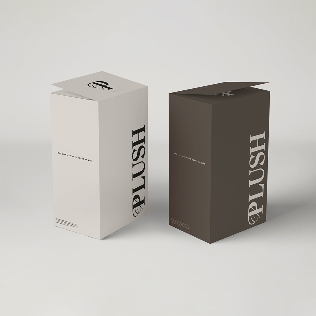 BOX.jpg