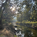 IMG_4695.jpeg