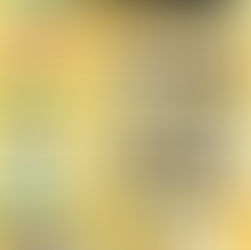 なにフォレ!なにそれ!?😆