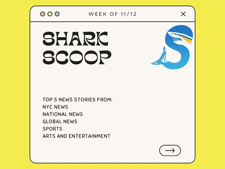 Shark Scoop - November 20, 2023