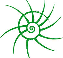logo verde scuro_edited.jpg