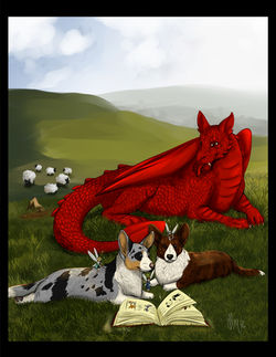CWCCA Handbook Cover
