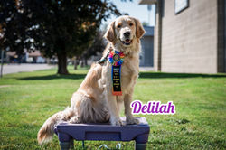 Delilah ATT Title