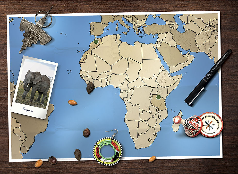 NorthAmerica-doble-copiar.jpg