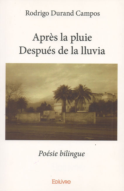 Après_la_pluie.jpeg