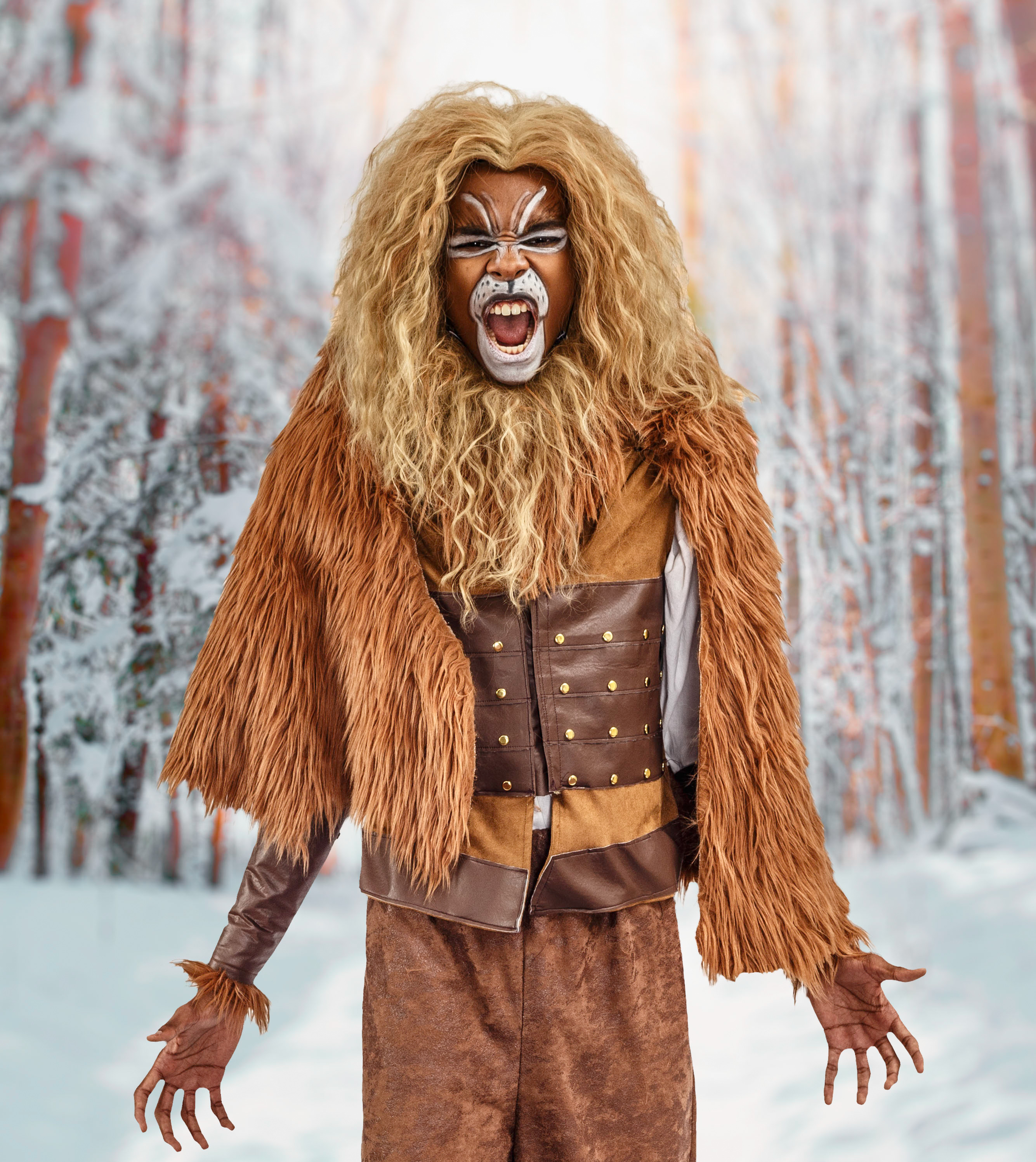 lion witch wardrobe lion witch wardrobe