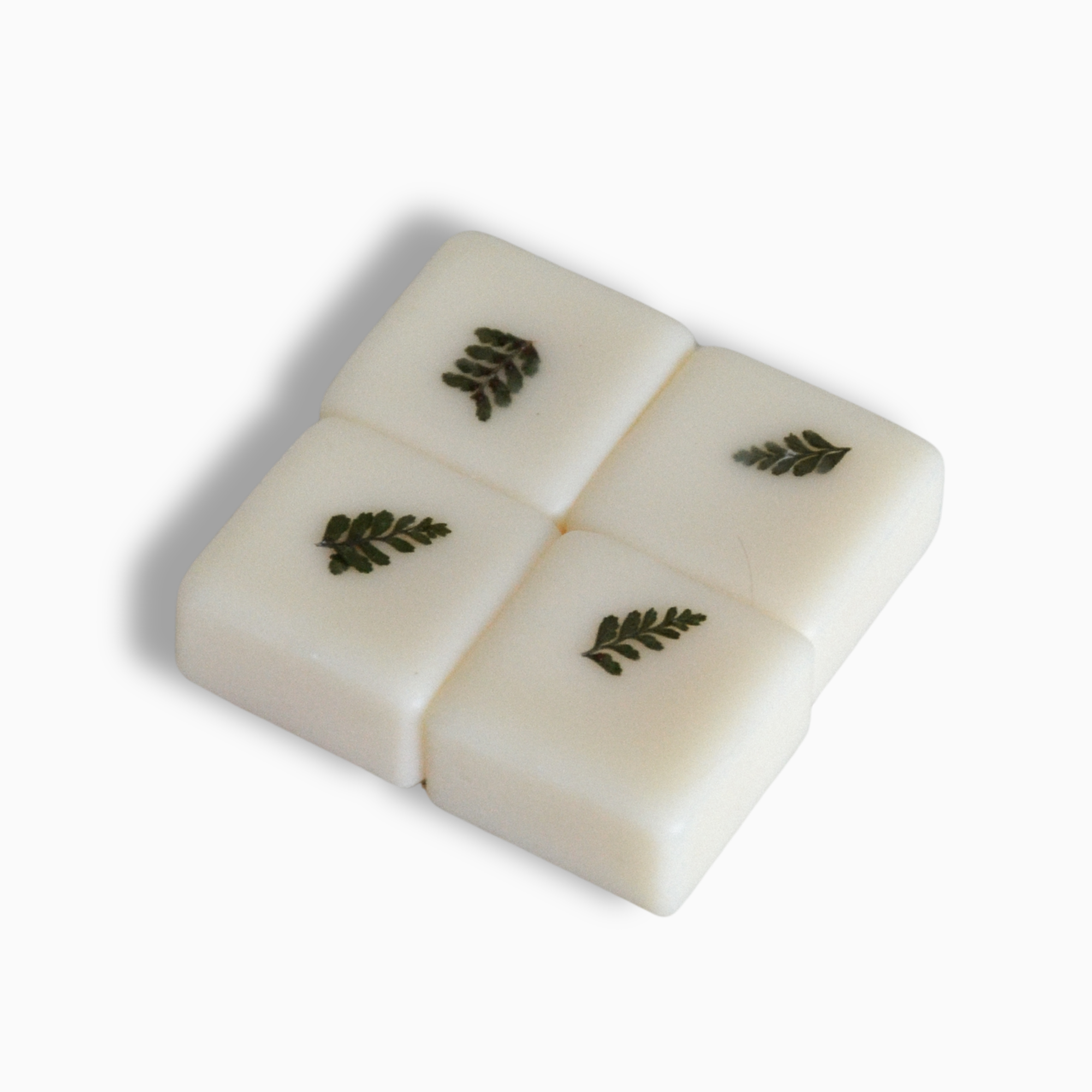 Fondant balade après la pluie