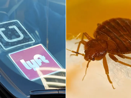 Bed Bugs and Uber/Taxi's
