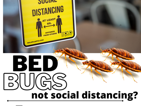 Bed Bugs not social distancing?