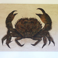 Al.legoria del càràcter adaptatiu dels mallorquins, reflexat en l'estampa d'un dels animals més representatius i perseguits de les nostres costes. 