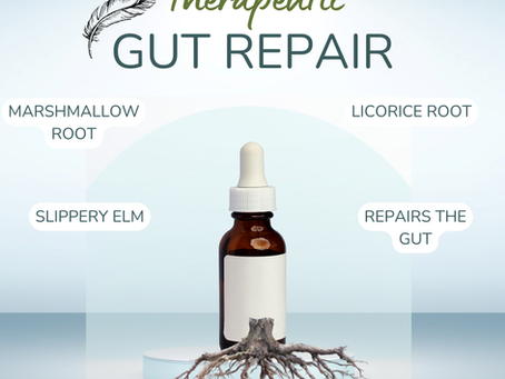 Soothe, Seal & Restore: Why Every Gut Needs a Little TLC