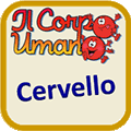 Cervello.gif