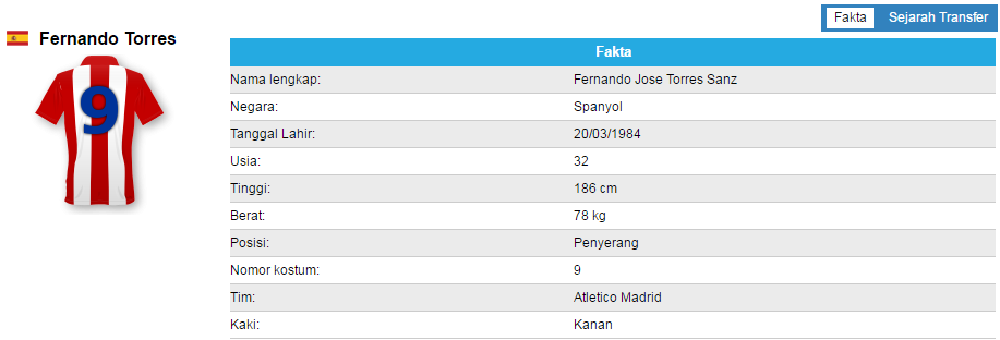 Fakta Fernando Torres