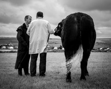 a man and his cow