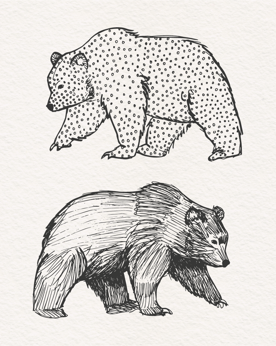 Handritad illustration föreställande brunbjörnar