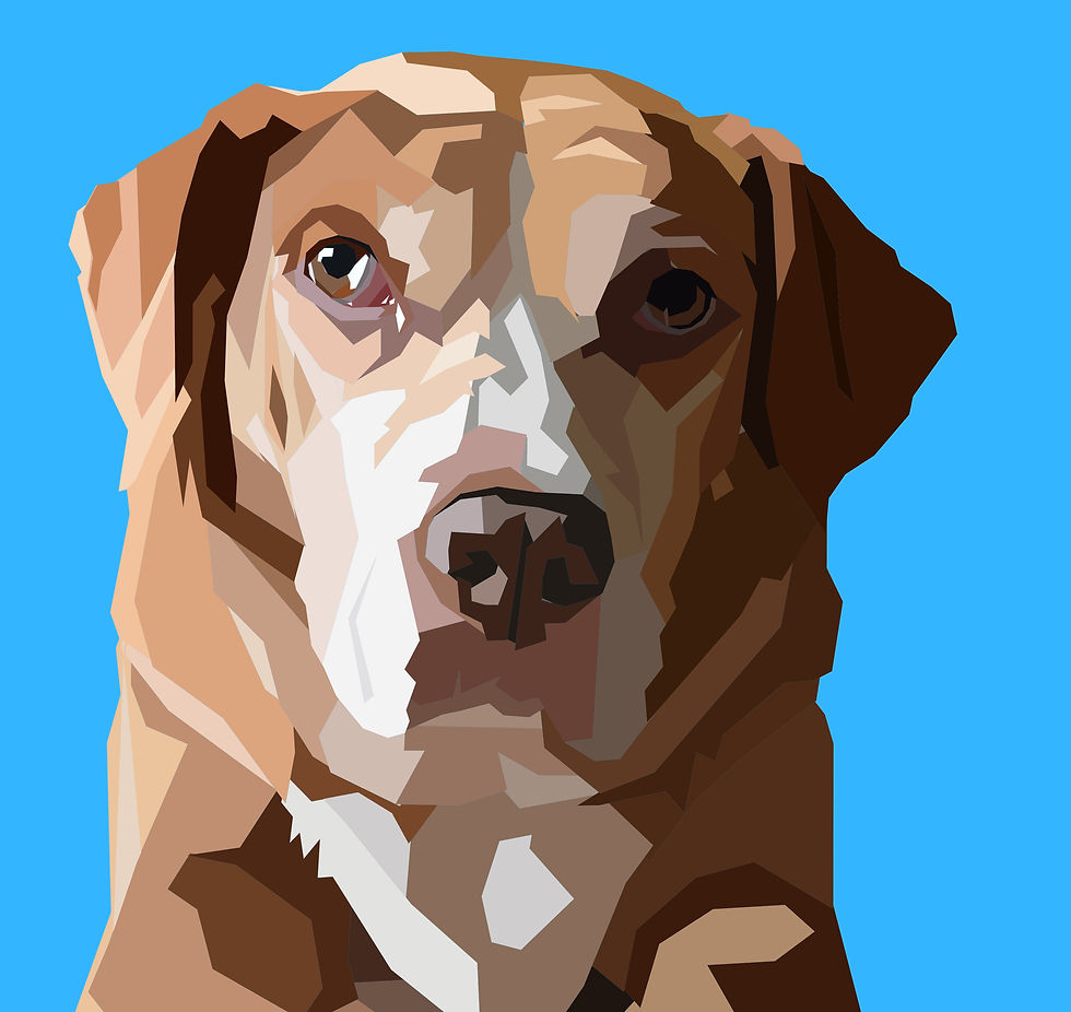 2050F3AE-7041-4FE4-9D4E-F4C2F9BF4A39 copy