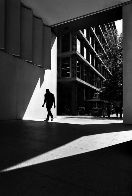 2 low - The Lines of Thought - 029A4567.jpg