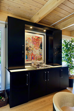 Highland Park Mid Century Modern
