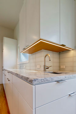 Midcentury Modern Kitchen