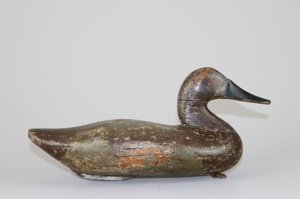 Thumbnail: Canvasback Hen  Capt Billy Moore  Havre de Grace Md