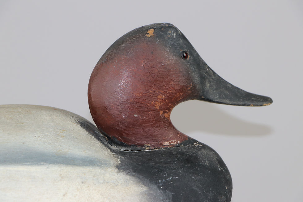 Thumbnail: Canvasback Drake  Ward Brothers  Crisfield Md