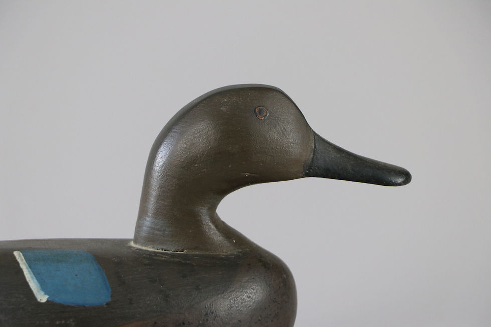 Thumbnail: Blue Wing Teal Hen  Allen Purner  Chesapeake City, Md