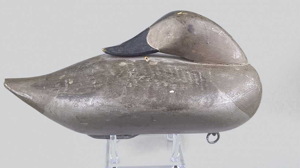 Thumbnail: Paul Gibson Canvasback Pair