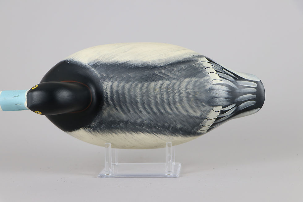 Thumbnail: Bob Litzenberg  Elkton Md.  Ring Neck pair