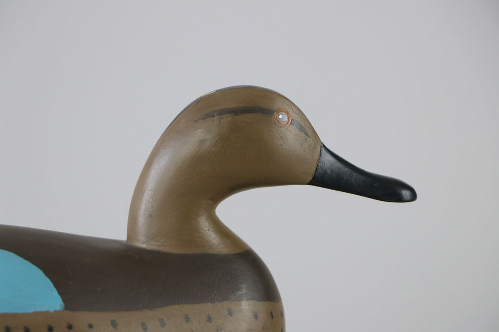 Thumbnail: Blue Wing Teal Hen  Allen Purner  Chesapeake City, Md