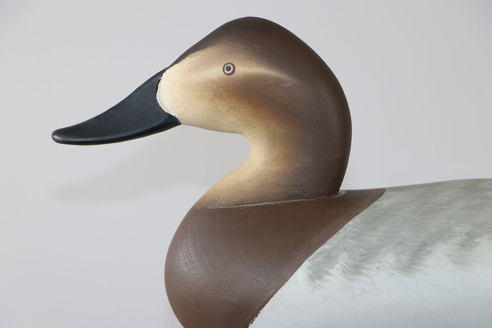 Thumbnail: Canvasback Pair  Charlie Joiner Chestertown, Md