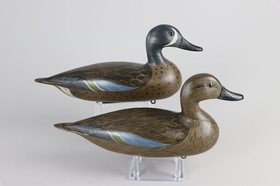 Thumbnail: Blue Wing Teal pair  Charlie Moore  Illinois River