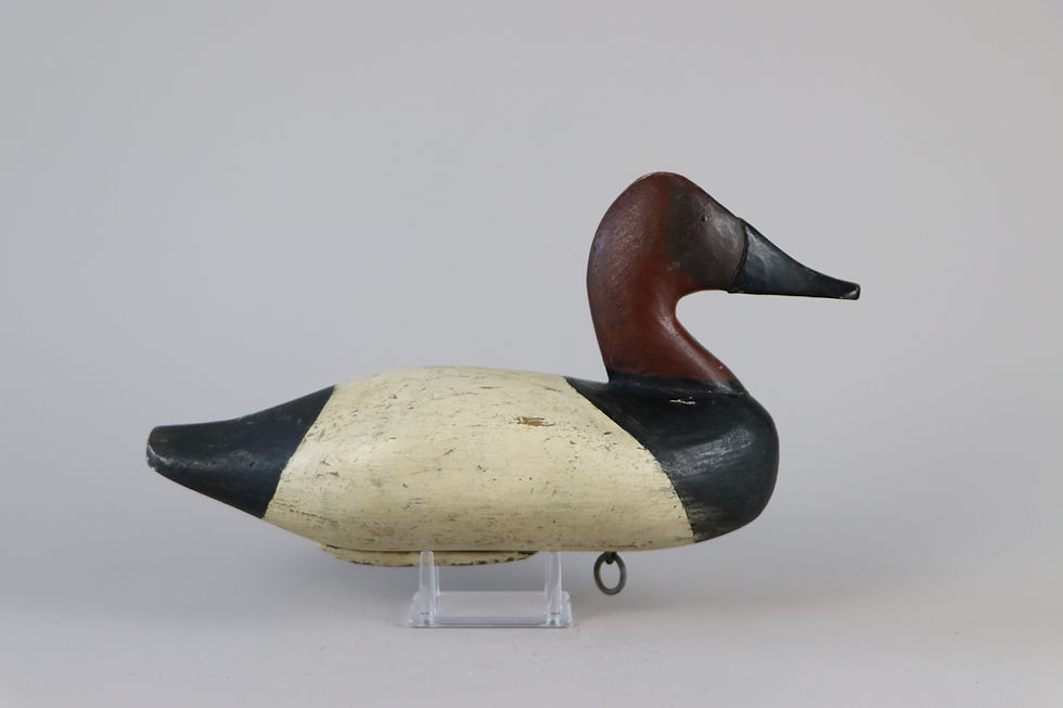 Thumbnail: Canvasback Drake  Fred Barnard  Havre de Grace Md