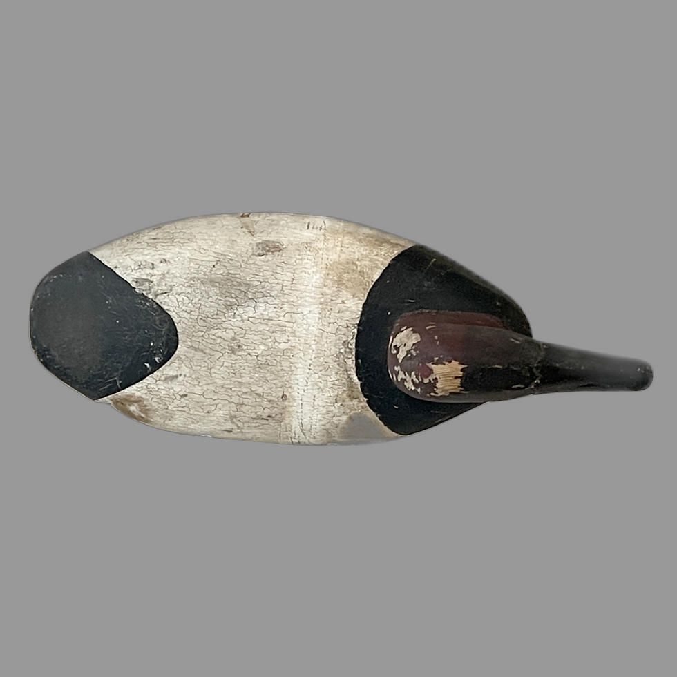 Thumbnail: Canvasback Drake by Standley Evans