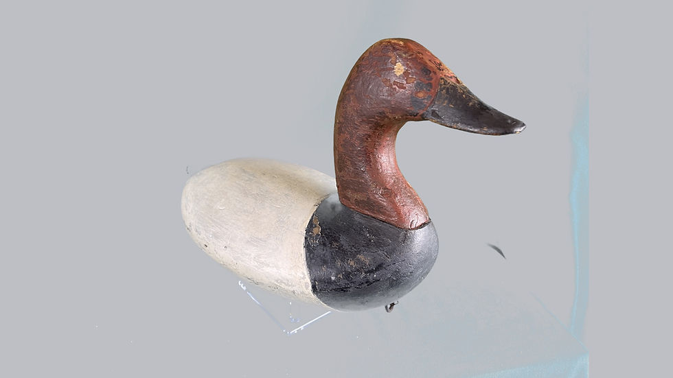 Thumbnail: Taylor Boyd High Head Canvasback Drake
