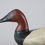 Thumbnail: Canvasback Drake  Edwin Pearson  Havre de Grace Md