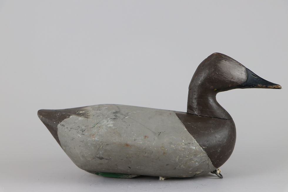 Thumbnail: Canvasback Hen  Edwin Pearson  Havre de Grace Md