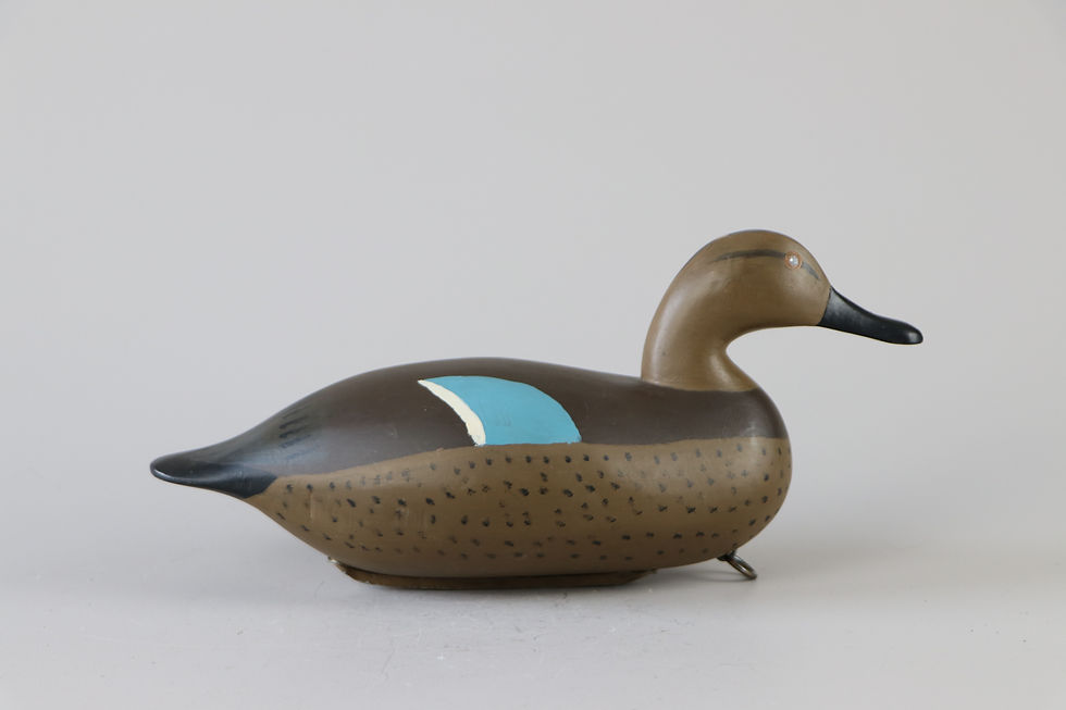 Thumbnail: Blue Wing Teal Hen  Allen Purner  Chesapeake City, Md