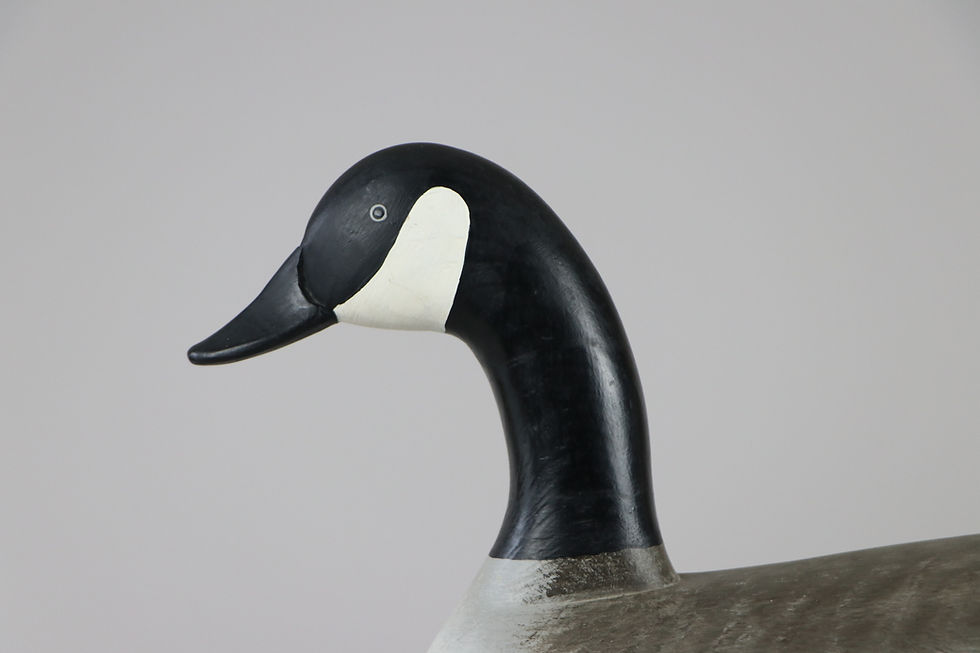 Thumbnail: Canada Goose  Charlie Joiner  Chestertown Md