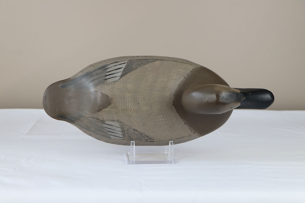 Thumbnail: J. Evans McKinney | Elkton, MD | Canvasback Hen