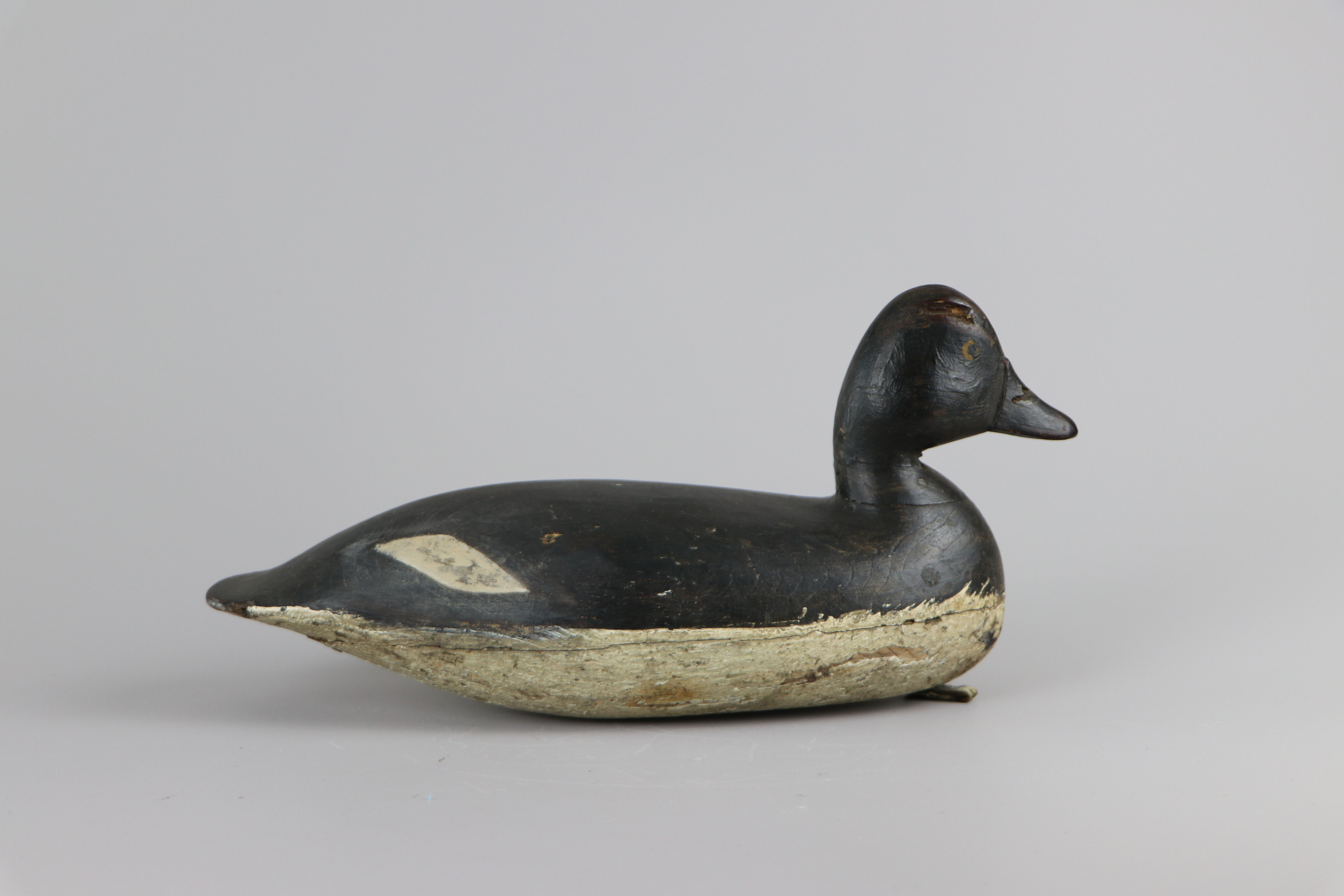 Goldeneye Hen Harry V Shourds Tuckerton NJ