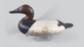Joe Dye Canvasback Drake