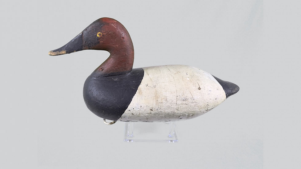 Thumbnail: Ben Dye Canvasback Drake